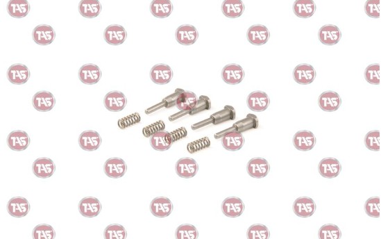 فنروساچمه نیم دنده 850 تاس TAS گیربکس FH